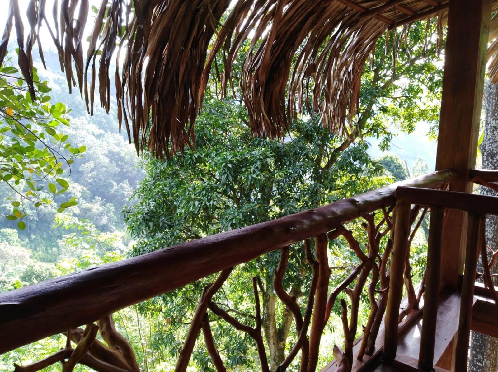 Ella Treehouse Hotel Exterior photo
