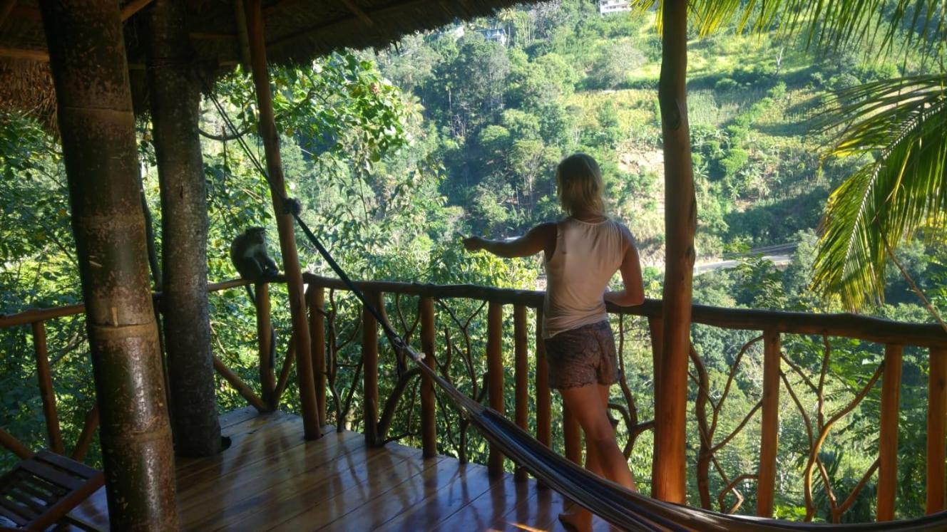 Ella Treehouse Hotel Exterior photo
