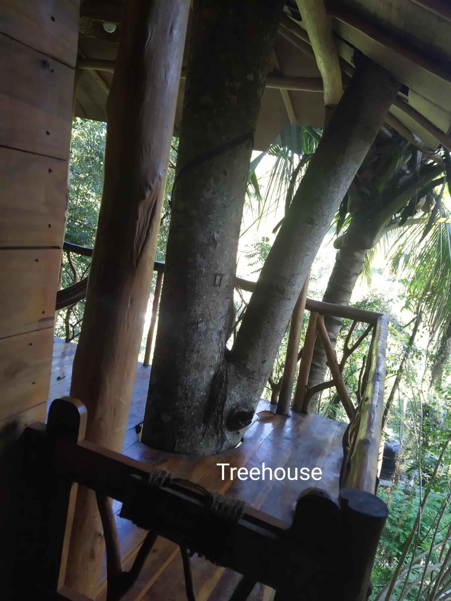 Ella Treehouse Hotel Exterior photo
